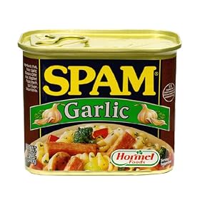 �z�[���� �X�p�� �K�[���b�N 340g