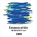 Essence of life ~THE BLUE HEARTS Cover~