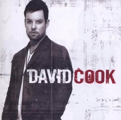  David Cook
