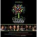 Abstract Logix Live! New Universe Music Festival 2
