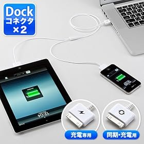 �T�����_�C���N�g iPad iPhone iPod �[�d&�����P�[�u�� ���USB�P�[�u�� �[�d��p�R�l�N�^ 500-USB024
