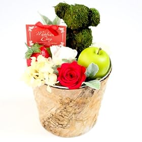 ��̓��M�t�g/Mother'S Day �v���U�[�u�h�t�����[�A�����W�i�N�}����j