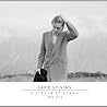 デイヴィッド・シルヴィアンのアルバムの画像