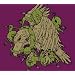 Sludge/post metal