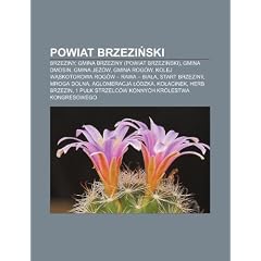 Powiat Brzezi Ski: Brzeziny, Gmina Brzeziny (Powiat Brzezi Ski), Gmina Dmosin, Gmina Je W, Gmina Rog W, Kolej W Skotorowa Rog W - Rawa -