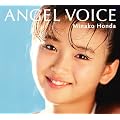 ANGEL VOICE(DVD�t)