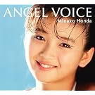ANGEL VOICE(DVD�t)