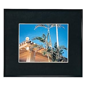 【クリックで詳細表示】フジカラー アルミ額縁 ブラック A300 半切 39681