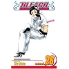 Bleach, Vol. 26 (Bleach (Graphic Novels))