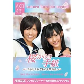 ���o�R�� �u������̎莆~AKB48���ꂼ��̑��ƕ���~�v �n�Ӗ��F&�{�V���] MicroSD ZNSD-0110