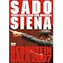 �o�[���X�^�C���E�K�� �M�����C��! [DVD]