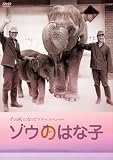 [DVD]反町隆史 千の風になってドラマスペシャル 「ゾウのはな子」 [DVD]
