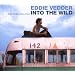 Into the Wild Ost