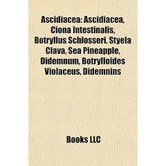 Ascidiacea: Ascidiacea, Ciona Intestinalis, Botryllus Schlosseri, Styela Clava, Sea Pineapple, Didemnum, Botrylloides Violaceus, D
