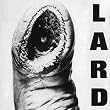 Power of Lard