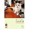 �܂��Ƃ������̕s�v�c��̔L(DVD)