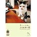 �܂��Ƃ������̕s�v�c��̔L(DVD)