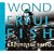 WONDERFUL FISH (���񐶎Y����:�f�W�p�b�N�ESHM-CD�E�X�y�V�����v���C�X)