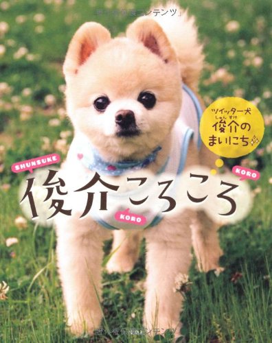 俊介ころころ~ツイッター犬　俊介のまいにち~  