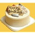 �`���R�o�[�X�f�[�P�[�L �y4�� 12cm �o�[�X�f�[�P�[�L �a�����P�[�L �f�R�z::128