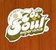 Can You Dig It? : The 70's Soul Experience
