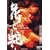 ���I�̌��c �ԂƎ� [DVD]
