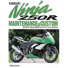 �J���T�LNinja250R�����e�i���X&�J�X�^��