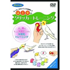 �΂ǔ��̃N���b�J�[�g���[�j���O [DVD] (�X�y�V�����X�v�[���N���b�J�[�t)