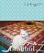 ���Ƃ���ՊC�O�� �C�X�^���u�[��
