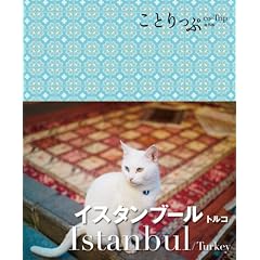 ���Ƃ���ՊC�O�� �C�X�^���u�[��
