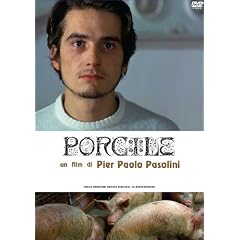 �؏��� �j���[�}�X�^�[�� [DVD]