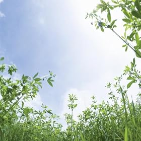 �l���l�ł�����ׂɒ�����