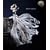 MOON(DVD�t)