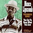 Texas Songster, Vol. 2 : You Got To Reap What You Sow
