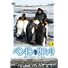 �y���M���E�T�t�@�� with �i�C�W�F���E�}�[���F�� Vol.3 [DVD]