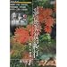 ��������I�s(�����̖���)���W�� 2 [DVD]
