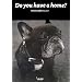 Do you have a home?