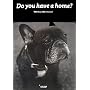 Do you have a home?