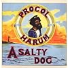 Salty Dog
