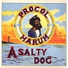 Salty Dog