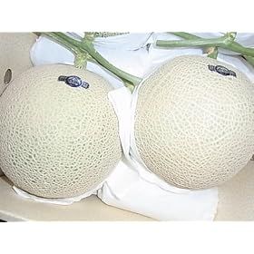 �É����Y�A��-�}�}�X�N������2����
