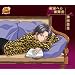 �X�o��c~���i�B��