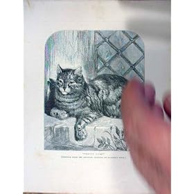 ���ꂢ�ȏ����̍����i�̌Â�������L C1880