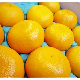 ���Q���Y ���Ƃ��i�V���k�j�@�G�@L�T�C�Y�@15�ʓ���@1��