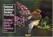 National Audubon Society Pocket Guide to Familiar Birds: Eastern Region (The Audubon Society Pocket Guides)