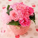 �y���������z�A�����W�����g(�j���[�L�����f�B)�y���������z�y�a�����E�L�O���E���j���E���������E�o�Y�j���E���Ԃ��M�t�g�z