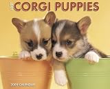 [Book] Just Corgi Puppies 2009 Calendar (Just)