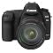 Canon 5D Mark II�𔃂���