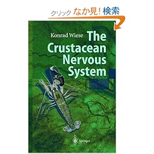 【クリックでお店のこの商品のページへ】The Crustacean Nervous System: Konrad Wiese: 洋書
