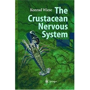 【クリックで詳細表示】The Crustacean Nervous System： Konrad Wiese： 洋書